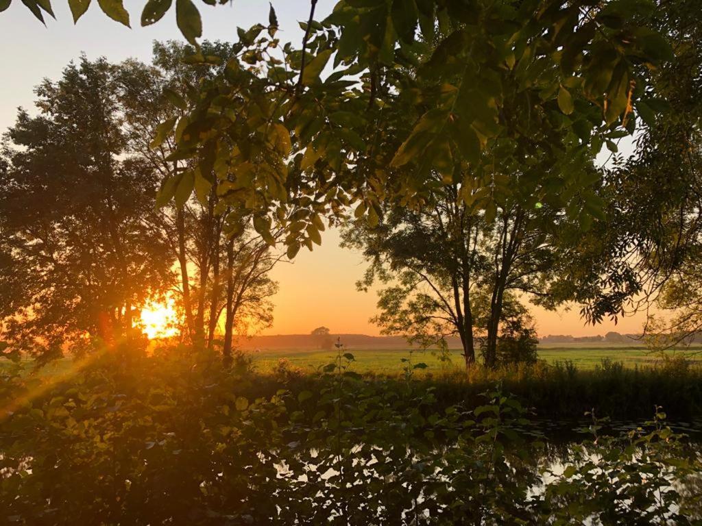 Bed and Breakfast De Kastanjehof 31 Beerta Zewnętrze zdjęcie