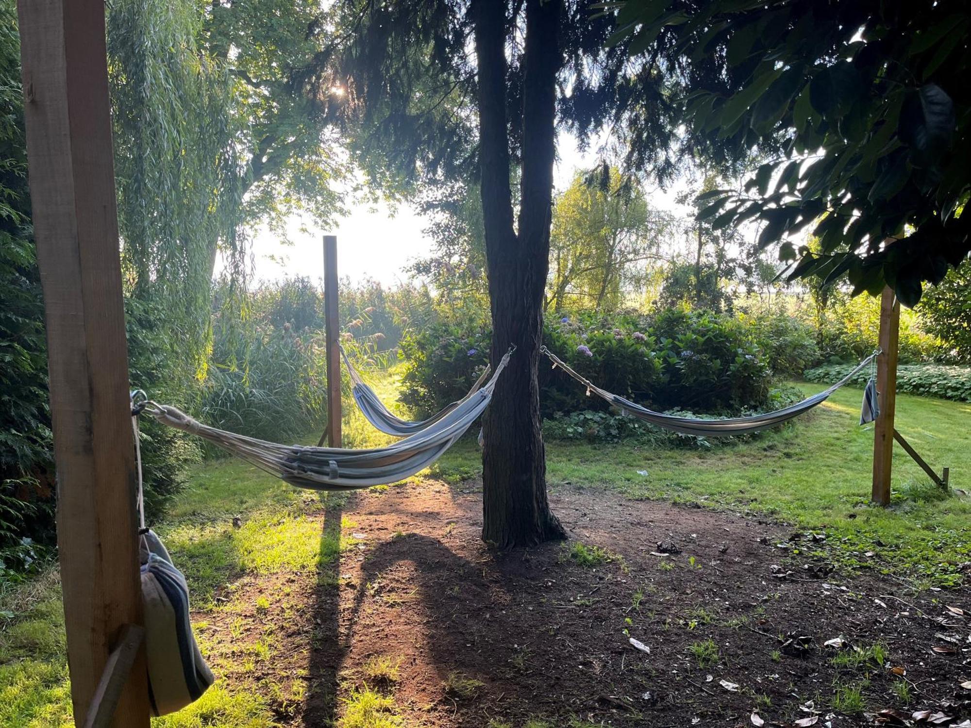 Bed and Breakfast De Kastanjehof 31 Beerta Zewnętrze zdjęcie